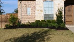 New Home Construction Landscaping